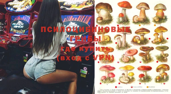 эйфоретик Бородино