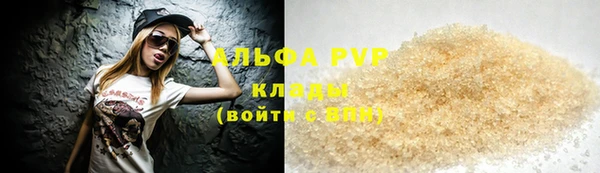эйфоретик Бородино