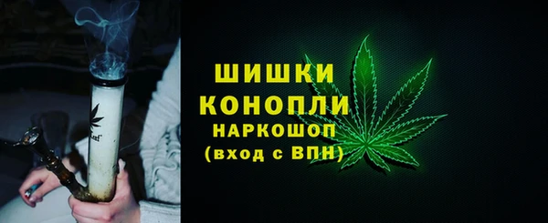 эйфоретик Бородино