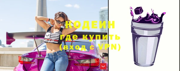 эйфоретик Бородино