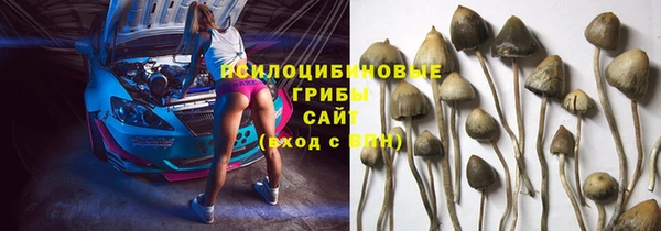 эйфоретик Бородино