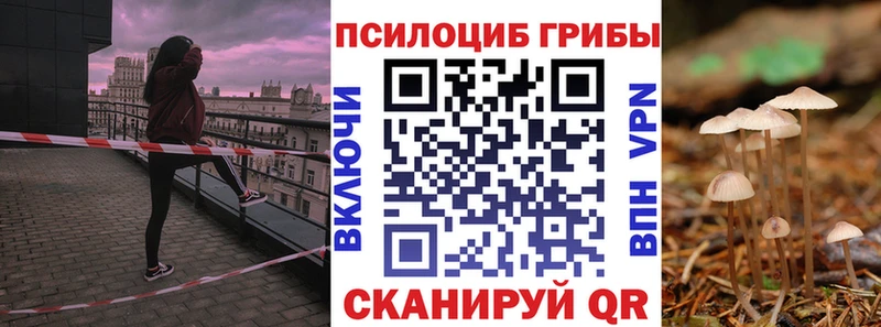 Псилоцибиновые грибы Psilocybine cubensis  Екатеринбург 